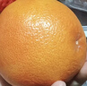 京鲜生 南非红心西柚/葡萄柚净重5斤装 单果220g起 新鲜水果 实拍图
