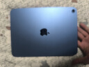 Apple/苹果 iPad11英寸 A16芯片2025年款 平板电脑 (256GB WLAN版/学习办公娱乐)蓝色 实拍图