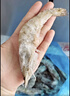 鲜京采 厄瓜多尔白虾 净重3斤/盒 特大号20-30规格   30-45只/盒 实拍图