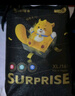 龙猫博士【源头直发】惊喜拉拉裤试用装XL16片【11-13kg】尿不湿超薄透气 实拍图