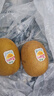 佳沛（zespri）新西兰 阳光金奇异果12粒礼盒特大果单果约122-146g 猕猴桃 水果 实拍图