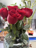 红色单头玫瑰10枝 实拍图