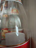 汾酒 黄盖玻汾 清香型白酒 53度 475mL*6瓶 整箱装非原箱 实拍图