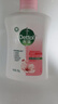 滴露（Dettol）洗手液滋润250g 儿童洗手液抑菌消毒宝宝 水润补充装尝鲜 实拍图