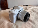 佳能（Canon）EOS R50 18-45mm套机 白色 实拍图