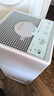 树新风【维嘉同款】加湿净化两用家用客厅卧室静音母婴除菌无雾加湿器全屋大面积空气净化器 G2 实拍图