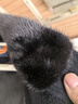 高档进口水貂毛小毛领子男士立领通用皮衣羽绒服皮草真毛领单卖 黑色（衬布48*5cm) 实拍图