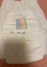 bebebus金标茶树精华成长裤L28片(9-14kg)透气超薄拉拉学步裤男女宝 实拍图