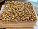 廿一客（21cake）松仁淡奶（木糖醇款）坚果乳脂奶油生日蛋糕1磅  同城配送 实拍图