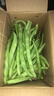 云南高山新鲜四季豆圆青豆现摘直发农家蔬菜鲜嫩饱满带箱2斤健康食材 实拍图