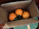 京觅江西赣南脐橙 9斤净重橙子单果180g起纽荷尔甜橙新鲜水果源头直发 实拍图