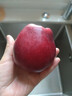 京鲜生 甘肃天水花牛苹果 又大又红 净重4斤 单果160g起  新鲜水果  实拍图