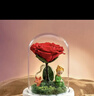 RoseBox生日礼物女小王子玫瑰花情人节结婚纪念日永生花送女友高级感实用 实拍图