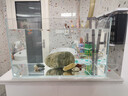 YEE超白鱼缸桌面客厅生态斗金鱼乌龟缸造景小型水草养鱼玻璃裸缸50cm 实拍图