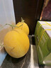 京鲜生 黄金哈密瓜 2粒 单果2.5斤起 净重6-8斤 生鲜水果礼盒 实拍图