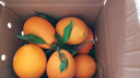 逮果重庆奉节脐橙纽荷尔春橙福本特级大果礼盒装时令新鲜孕妇水果橙子 精选5斤大果【JD/顺丰】 实拍图