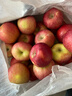 京鲜生 塞外红阿克苏苹果礼盒 净重10斤  单果180g起 实拍图