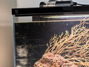 画法几何南美风枯木鱼缸造景套餐 米家智能鱼缸专用仿真枯木丛林  实拍图