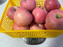 京鲜生 陕西洛川苹果红富士  净重5斤  单果200g+ 生鲜水果 实拍图