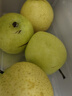 京鲜生安徽砀山白玉皇冠梨 净重5斤装 单果200g+ 生鲜水果源头直发 实拍图