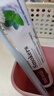 红印（Red seal）新西兰进口烟民薄荷牙膏100g*2支装 无氟烟民牙膏双重薄荷味 实拍图
