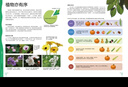 中国儿童植物百科全书 精装正版 小学生植物图鉴大全 6-12岁花草树木科普 少儿自然观察启蒙课外书 实拍图