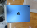 Apple/苹果 iPad11英寸 A16芯片2025年款 平板电脑 (256GB WLAN版/学习办公娱乐)蓝色 实拍图