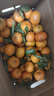 京鲜生 无核蜜桔 精选2斤装橘子/桔子  单果80g+ 生鲜水果 实拍图