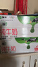 蒙牛全脂纯牛奶250ml*16盒 牛奶跨年礼盒 电商定制 实拍图