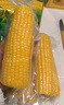 十月稻田 黄甜糯玉米 8根 3.52斤 真空包装 东北粘玉米棒 低脂早餐 实拍图