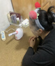 康佳（KONKA）热喷蒸脸器家用美容仪器纳米加湿补水仪脸部洁面保湿喷雾机2025最新款圣诞节礼物送女友 热喷蒸脸仪【大水箱+快速出雾】 2025全新升级 实拍图