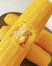 京鲜生东北黄糯玉米300g*8棒 甜黏玉米低脂早餐代餐粗粮真空装 源头直发 实拍图