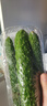 【水果菜】紫溪山嫩黄瓜约550g 实拍图