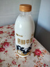 天润新疆产地  鲜牛奶巴氏杀菌鲜奶 低温奶 早餐伴侣950ml*1瓶 实拍图