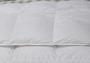 源生活 防钻绒 100%白鸭毛羽毛被子 双人秋冬被芯 8斤 220*240cm 白色 实拍图