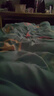 馨棉世家 新疆棉花被芯全棉花被子纯棉花褥子垫被床垫厚盖被一级长绒棉絮 新疆优质长绒棉11斤 【加大双人盖被】200X230cm 实拍图