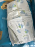 泰迪熊（Teddy Bear）纸尿裤呼吸特薄超薄干爽透气婴儿尿不湿尿裤 纸尿裤XL50片 推荐23~32斤 实拍图