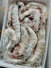 鲜京采 厄瓜多尔白虾 净重3斤/盒 特大号20-30规格   30-45只/盒 实拍图