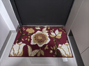 大江 入户地垫进门脚垫进户门玄关门口地垫入户门60x90cm 落叶 实拍图