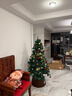 琉弦笙 圣诞树客厅  【德国品质】落雪圣诞摆件酒店商场装饰圣诞节装饰 客厅推荐-1.8米绿色树【赠玩偶牌+长毛地毯】 实拍图