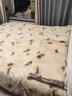 皇朝家私仿生羊绒四件套 A类高克重牛奶绒套件 冬季加厚床上床单被套200*230cm 春屿米 实拍图