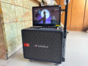 山水（SANSUI）家庭ktv音响套装户外K歌专用移动蓝牙音箱 家用唱歌全套设备广场舞卡拉ok一体机电木吉他乐器 Q085 实拍图