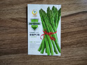 凤鸣雅世芦笋种子四季多年生阳台盆栽蔬菜子京绿芦3号芦笋种子10粒 实拍图