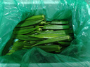 新鲜水果秋葵黄秋葵现摘现发生鲜蔬菜凉拌烧烤火锅食材减肥瘦身 现摘新鲜秋葵（大包装） 5斤 实拍图