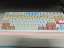 狼蛛（AULA）F87ProV2客制化无线机械键盘电竞游戏专用  蓝牙/2.4G/有线三模连接全键热插拔gasket结构办公键盘 F87ProV2大宗师版【焦糖拿铁轴】奶咖热升华 实拍图
