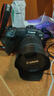 佳能（Canon）EOS RP 全画幅微单数码相机 24-105标准镜头套装 （约2620万像素/轻巧便携） 实拍图
