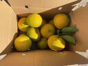 京觅江西赣南会昌桔柚 9斤净重黄金贡柚 甜橘子大果75mm+水果源头直发 实拍图