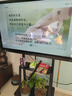 视基 教学一体机【人气爆款】白板会议平板一体机培训教育多媒体触屏4K超清智慧屏电子白板触摸一体机 75LED【限时特价+全套配件+送货入户】 单系统 win10【i5/8+256】【全网比价】 实拍图