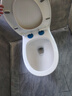 松鲸  马桶家用喷射虹吸大冲力节水连体式管道施釉普通坐便器静音防臭 【喷射虹吸】管道施釉款 305/300mm 实拍图