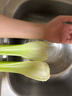 西芹1kg 实拍图